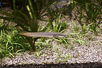 2011-03-13 14-30-53 Oc36