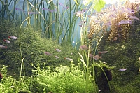2011-03-13 14-30-53 Oc38