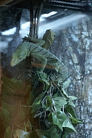 2011-03-13 14-43-59 Okeanar 31
