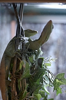 2011-03-13 14-44-30 Okeanar 32