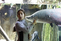 2011-03-13 14-56-29 Okeanar 74