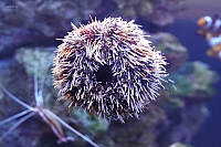 2011-03-13 16-11-05 Oc292