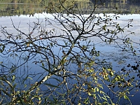 2009-09-13 10-35-32