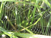 2009-09-13 10-37-41