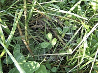 2009-09-13 10-39-08