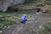 2008-11-08 16-57-36