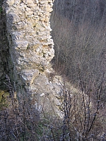 2008-11-08 17-05-47
