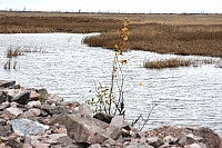 2008-11-04 13-11-15