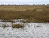 2008-11-04 13-12-54