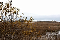 2008-11-04 13-16-03