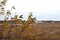 2008-11-04 13-16-11