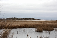 2008-11-04 13-24-18