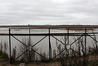 2008-11-04 13-54-38