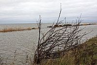 2008-11-04 15-18-22