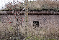 2008-11-04 15-32-40