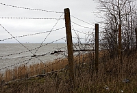 2008-11-04 15-37-11