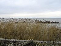 2008-11-04 15-47-19