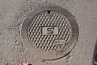 IMG 2260