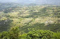 2010-07-01 12-53-30
