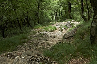 2010-07-01 13-32-25
