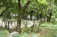 2010-07-01 13-48-48