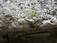 2010-07-01 15-02-10