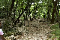 2010-07-01 15-20-42