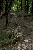 2010-07-01 15-20-47