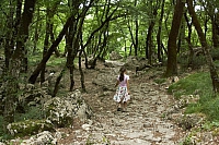 2010-07-01 15-20-54
