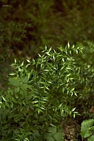 2010-07-01 15-26-47