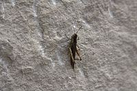 2010-07-01 15-35-46