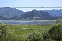 2010-07-01 19-08-29