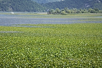 2010-07-01 19-08-57