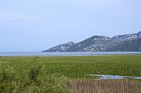 2010-07-01 19-09-48