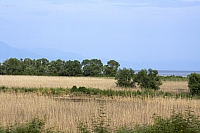 2010-07-01 19-10-58