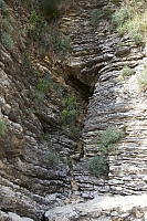 2010-07-02 17-07-20