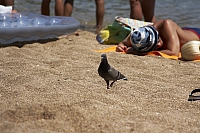 2010-07-03 15-01-00