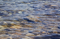 2010-07-03 17-00-48