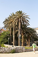 2010-07-03 19-35-01