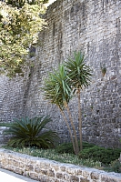 2010-07-03 19-39-15