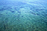 2010-07-03 19-57-11