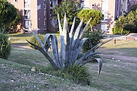 2010-07-03 21-02-04