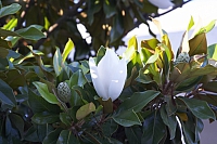 2010-07-03 21-03-25