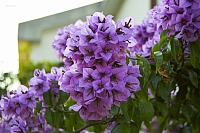 2010-07-03 21-03-43