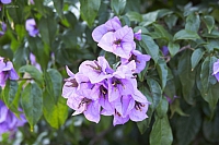 2010-07-03 21-03-46