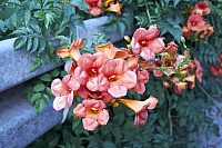 2010-07-03 21-05-39