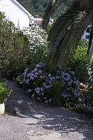 2010-07-04 12-10-58