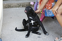 2010-07-04 12-15-54