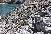 2010-07-04 15-31-48