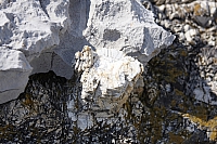 2010-07-04 15-38-30
